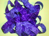 Oodles of bias binding